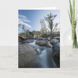 Little Stream Nature photo Card