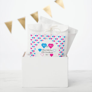 Little Sweetheart Valentine's Day Gender Reveal Favour Bags