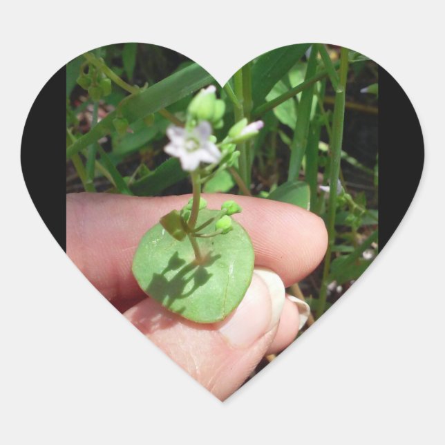 Little Things heart shaped sticker (Front)