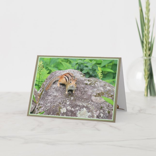 Little things in life make it special-chipmunk: ca card (Front)