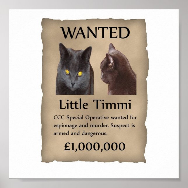 Little Timmi wanted poster (Front)