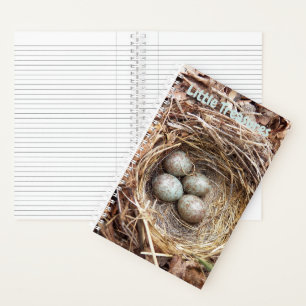 Little Treasures Bird Nest Eggs Notebook