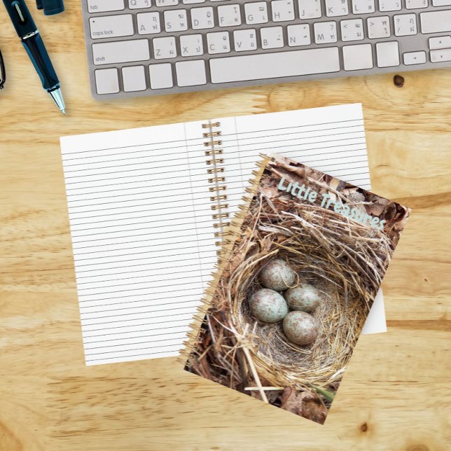 Little Treasures Bird Nest Eggs Notebook (In Situ)