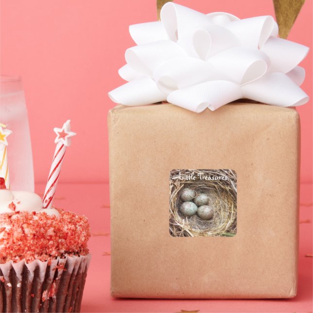 Little Treasures Bird Nest Eggs Photo Square Sticker (Party)