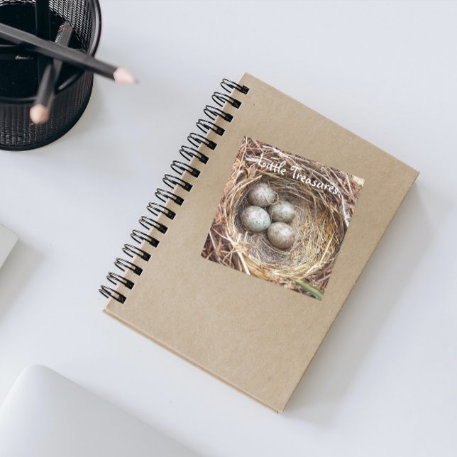 Little Treasures Bird Nest Eggs Photo Square Sticker (In Situ Notebook)