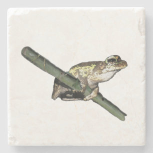 Little Tree Frog Oil Paint, Stone Coaster