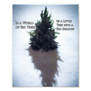 Little Tree Inspiring Quote Photo Enlargement Print