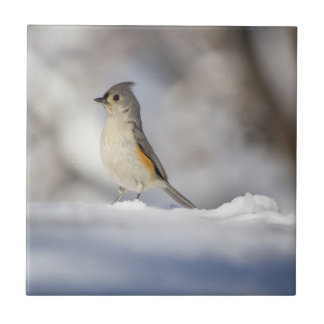 Little Tufted Titmouse in Snow Tile