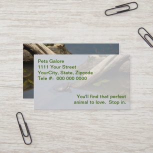 Little Turtle On A Log Business Card