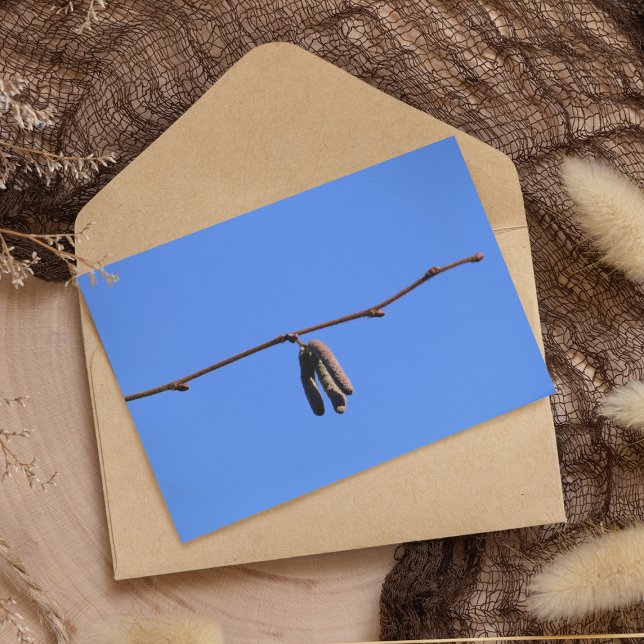 Little Twig on Blue Sky Card (Creator Uploaded)