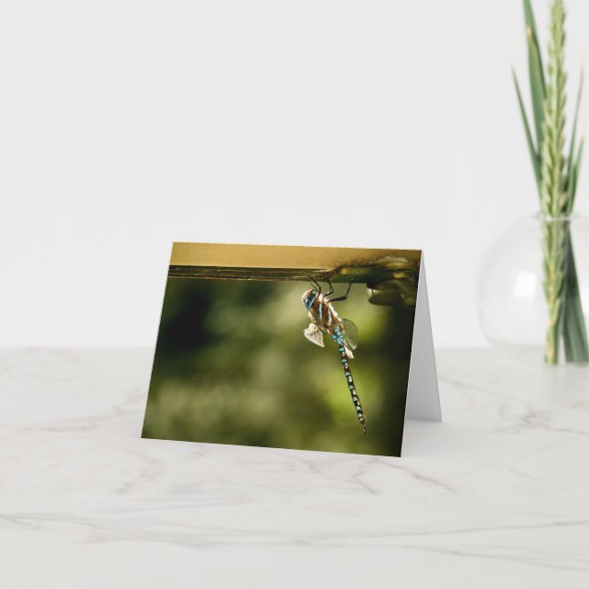 "Little Visitor" Card (Front)