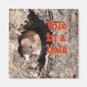 Little Vole in a Hole Fridge Magnet