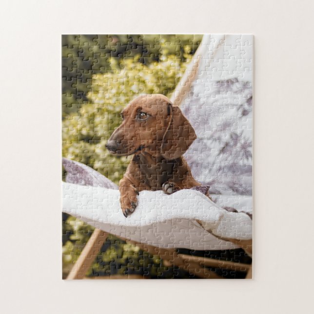 Little Weiner Dog Lounging In The Sun Jigsaw Puzzle (Vertical)