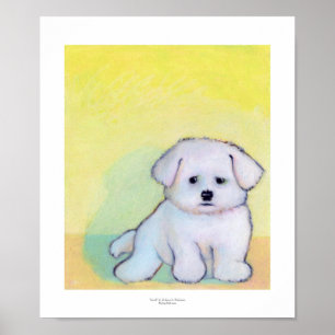 Little white dog art drawing cute Maltese puppy Poster