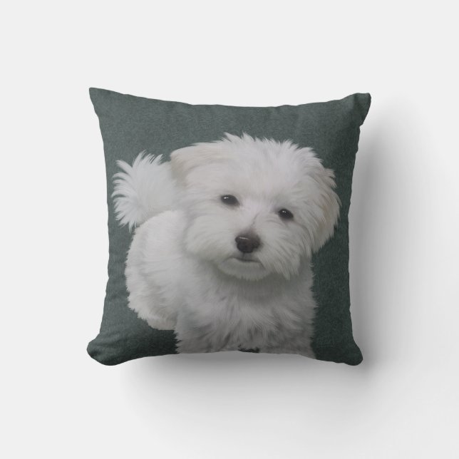   Little white dog pet portrait  Cushion (Front)