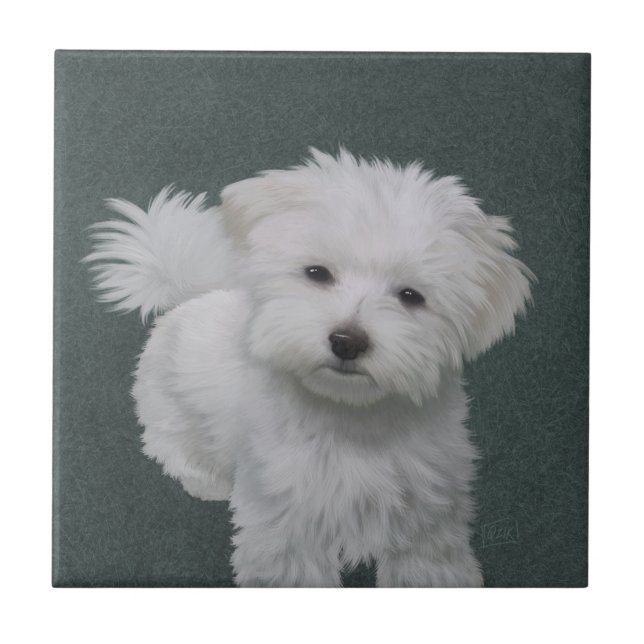   Little white dog pet portrait  Tile (Front)