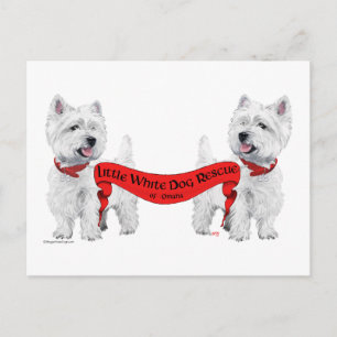 Little White Dog Rescue Postcard