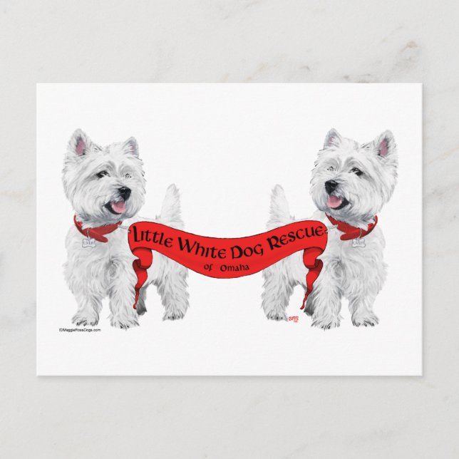 Little White Dog Rescue Postcard (Front)