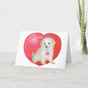 Little White Dog Rescue Valentine Holiday Card