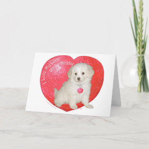 Little White Dog Rescue Valentine Holiday Card