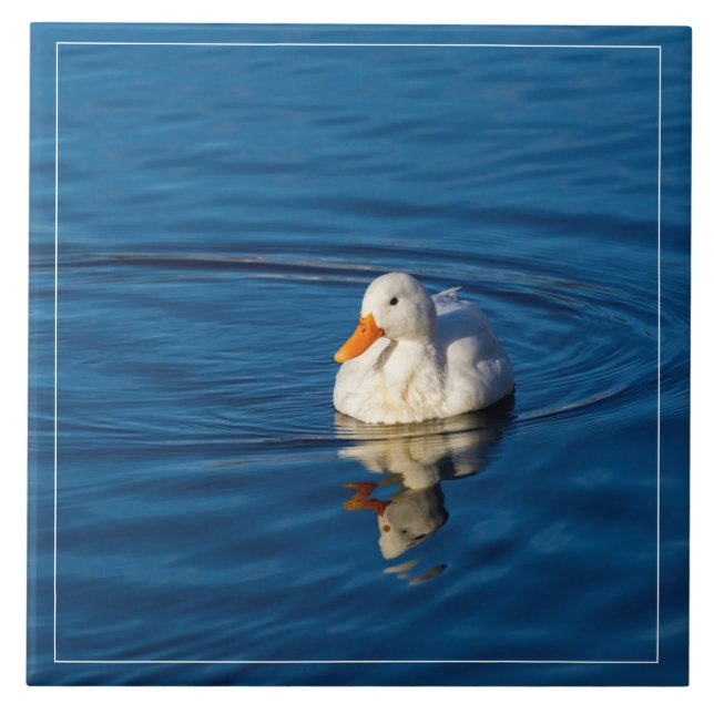Little White Duck Reflections Tile (Front)