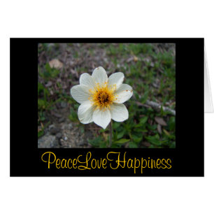 Little White Flower