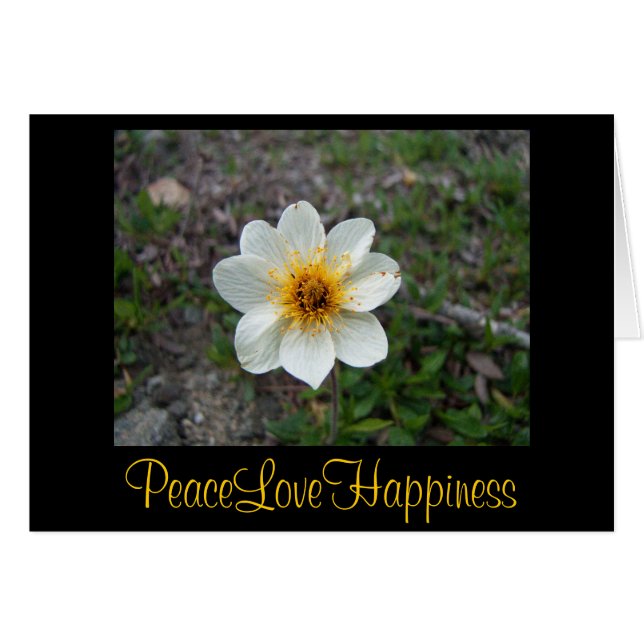 Little White Flower (Front Horizontal)