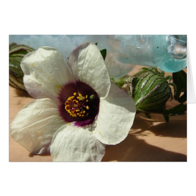 Little White Flower, Vintage Bottle, Pumpkin (Front Horizontal)