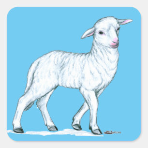 Little White Lamb Square Sticker