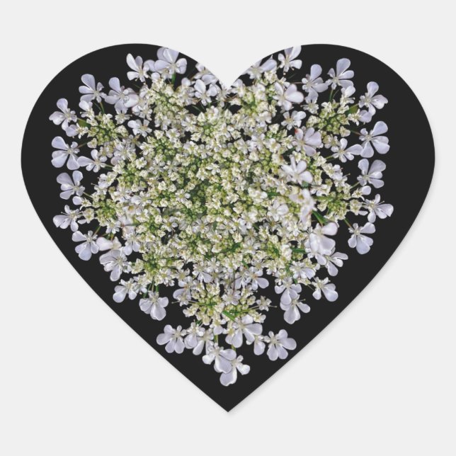 little white petals  heart sticker (Front)