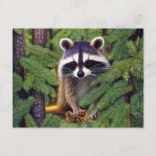 Little Woodland Wilderness Raccoon Postcard