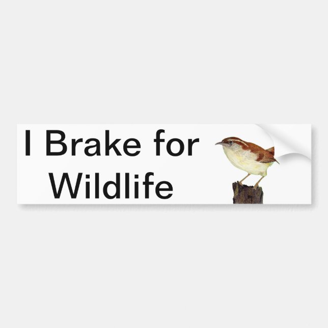 Little Wren Bumper Sticker (Front)