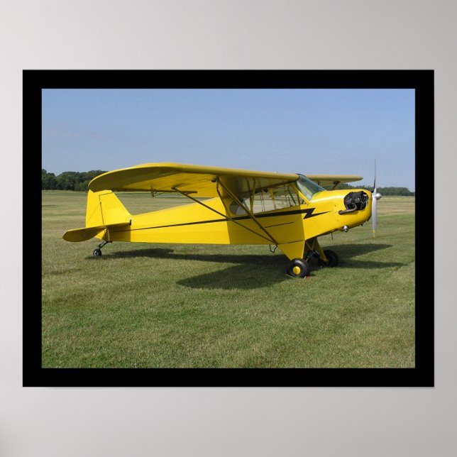 Little Yellow Aeroplane Poster (Front)