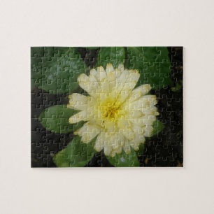 Little Yellow Marigold Puzzle