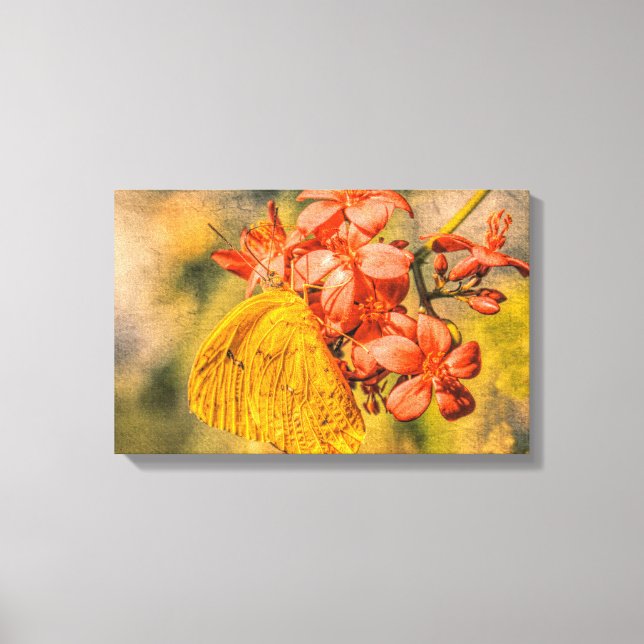 Little Yellow Sulphur Butterfly Canvas Print (Front)