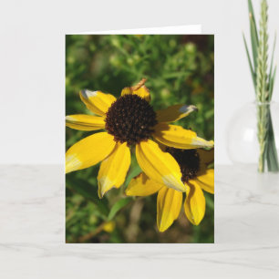 Little Yellow Wildflowers Card