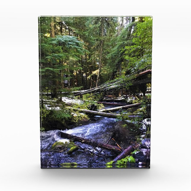 Little Zigzag River, OR Photo Block (Front)
