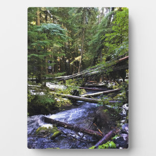 Little Zigzag River, OR Plaque