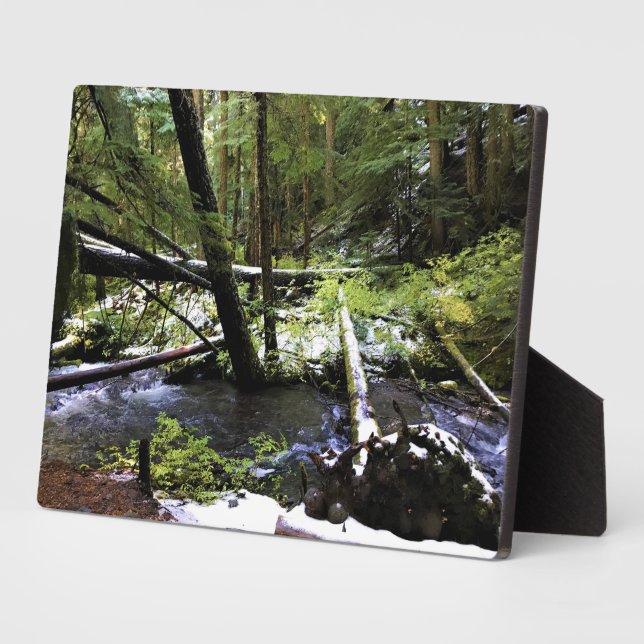 Little Zigzag River, OR Plaque (Side)