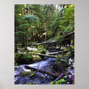 Little Zigzag River, OR Poster