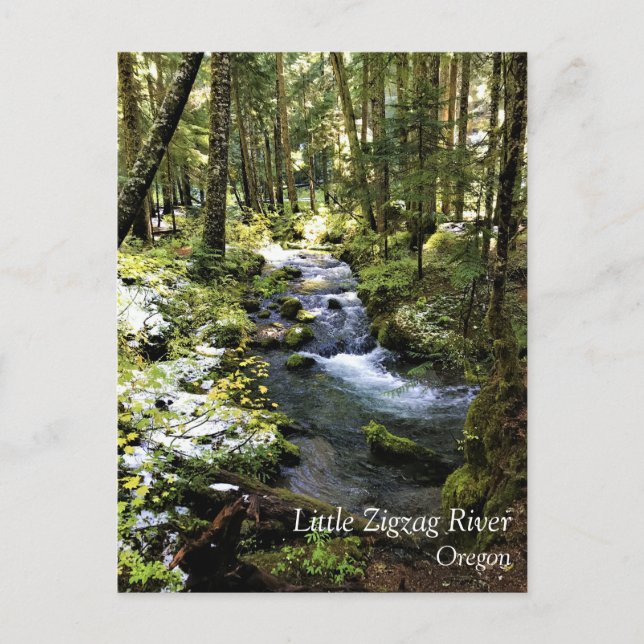 Little Zigzag River, Oregon Postcard (Front)