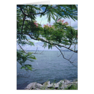 LittleBayParkBayside 001