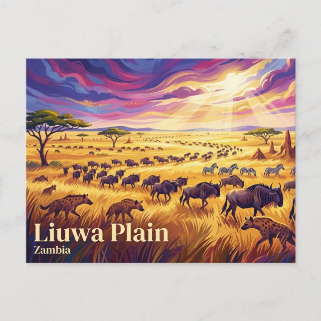 Liuwa Plain National Park Zambia Postcard (Front)
