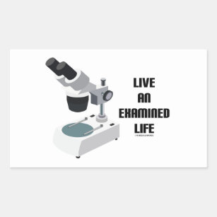 Live An Examined Life (Microscope) Rectangular Sticker