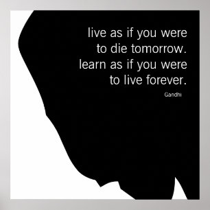 Live and Learn Poster