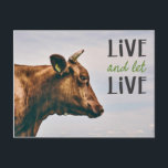 "Live and let live" vegan with brown cow Postcard<br><div class="desc">This vegan poster features a portrait of a beautiful brown cow,  with the caption "Live and let live" in black and green fonts</div>
