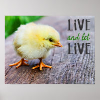 "Live and let live" with cute yellow chick vegan