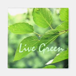 'Live Green' Magnet