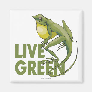 Live Green Magnet