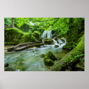 Live in Harmony Poster